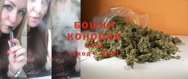 спайс Богданович