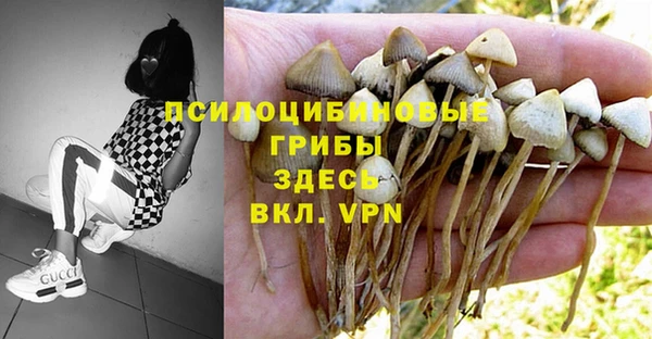 герыч Белоозёрский