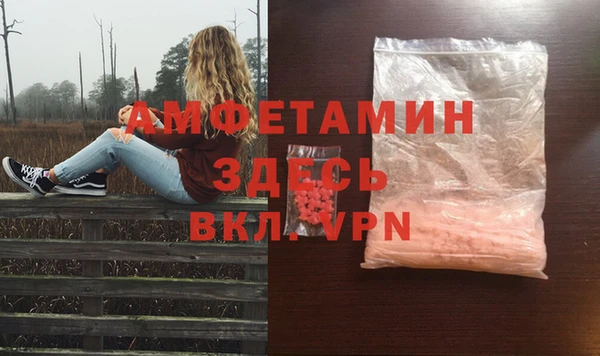 дживик Богородицк