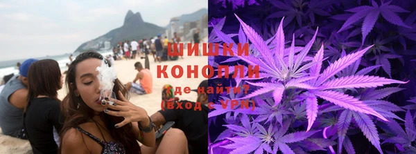 дживик Богородицк