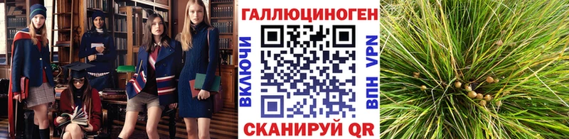 купить   Болохово  Галлюциногенные грибы мицелий 
