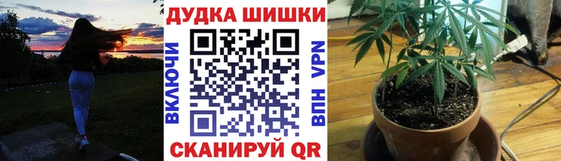 Конопля марихуана  цена   Болохово 